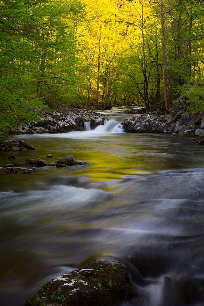 Tennessee Great Smoky Mountains National Park-Little River